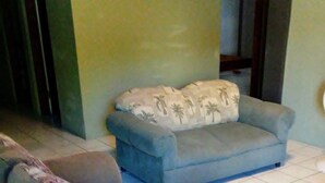 Un salon avec un canapé gris et un fauteuil assorti, tous deux agrémentés de coussins à motifs floraux. La pièce est dotée d’un sol carrelé et d’un mur vert.