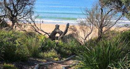 Oceanside - Pet Friendly Absolute Beachfront