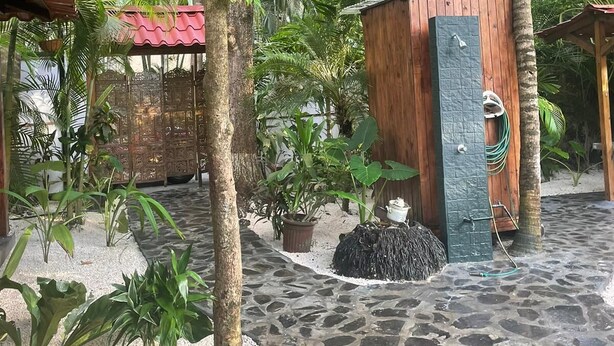 Un patio con suelo de piedra, rodeado de plantas en macetas y una estructura de madera.