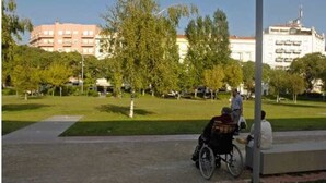Een park met een rolstoeltoegankelijk pad, bomen en gebouwen op de achtergrond.