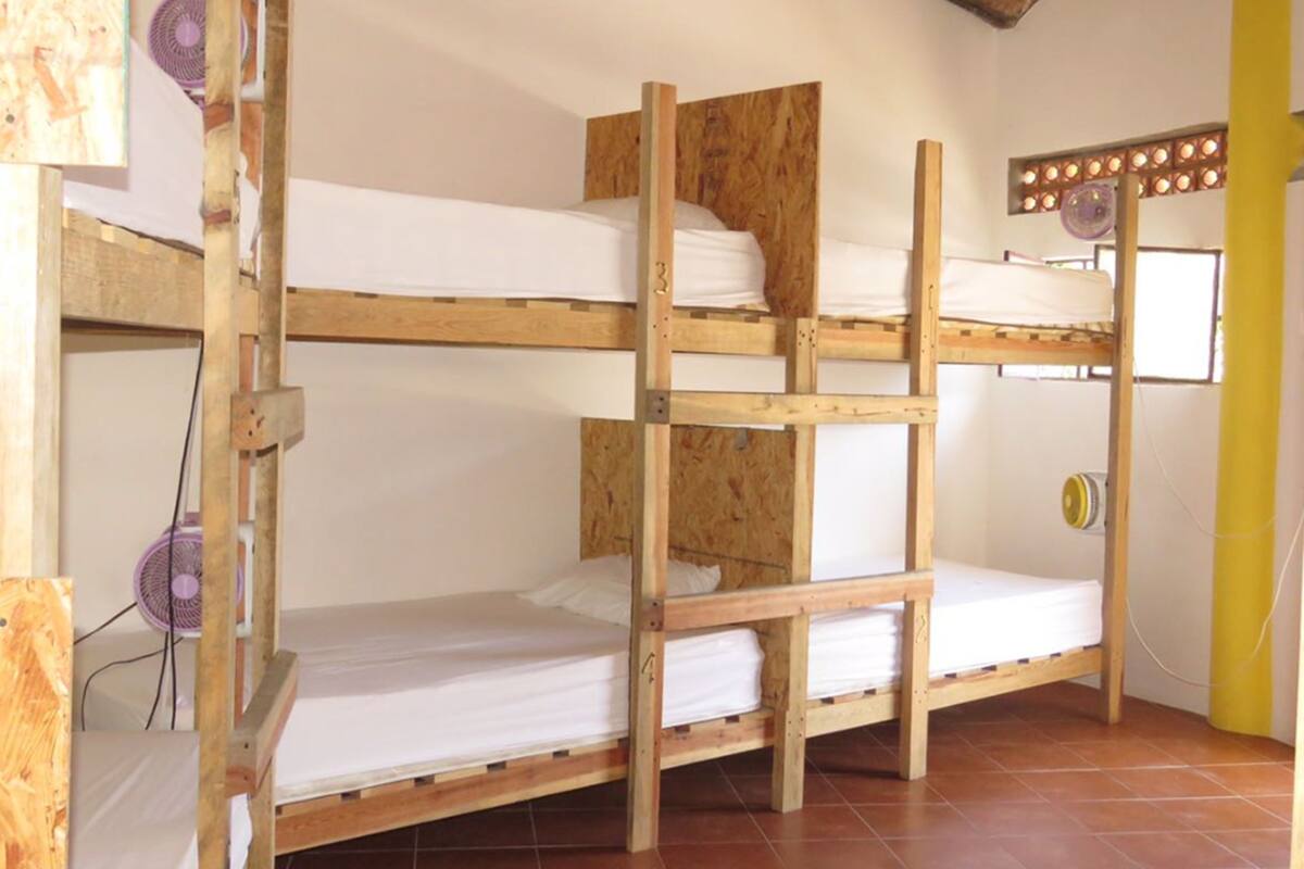 Basic Shared Dormitory, Mixed Dorm