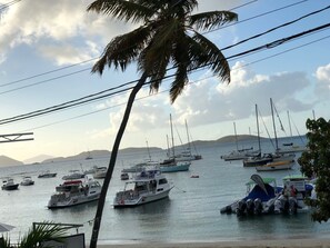 Marina - Luxurious Ritz Carlton Club Condo Avail June & December (St. Thomas)