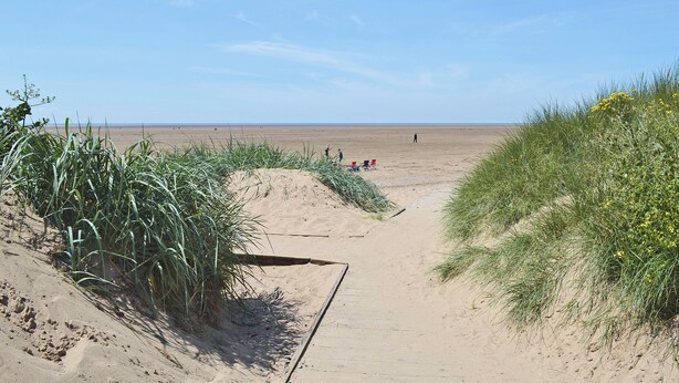 Un sendero arenoso que lleva al mar, con vegetación escasa y un cielo despejado.