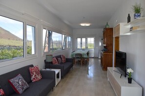 TV, books - House overlooking the volcano with garden, solarium, terrace and barbecue (Ye)