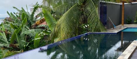 A swimming pool with a tiled edge, surrounded by lush greenery and a palm tree.