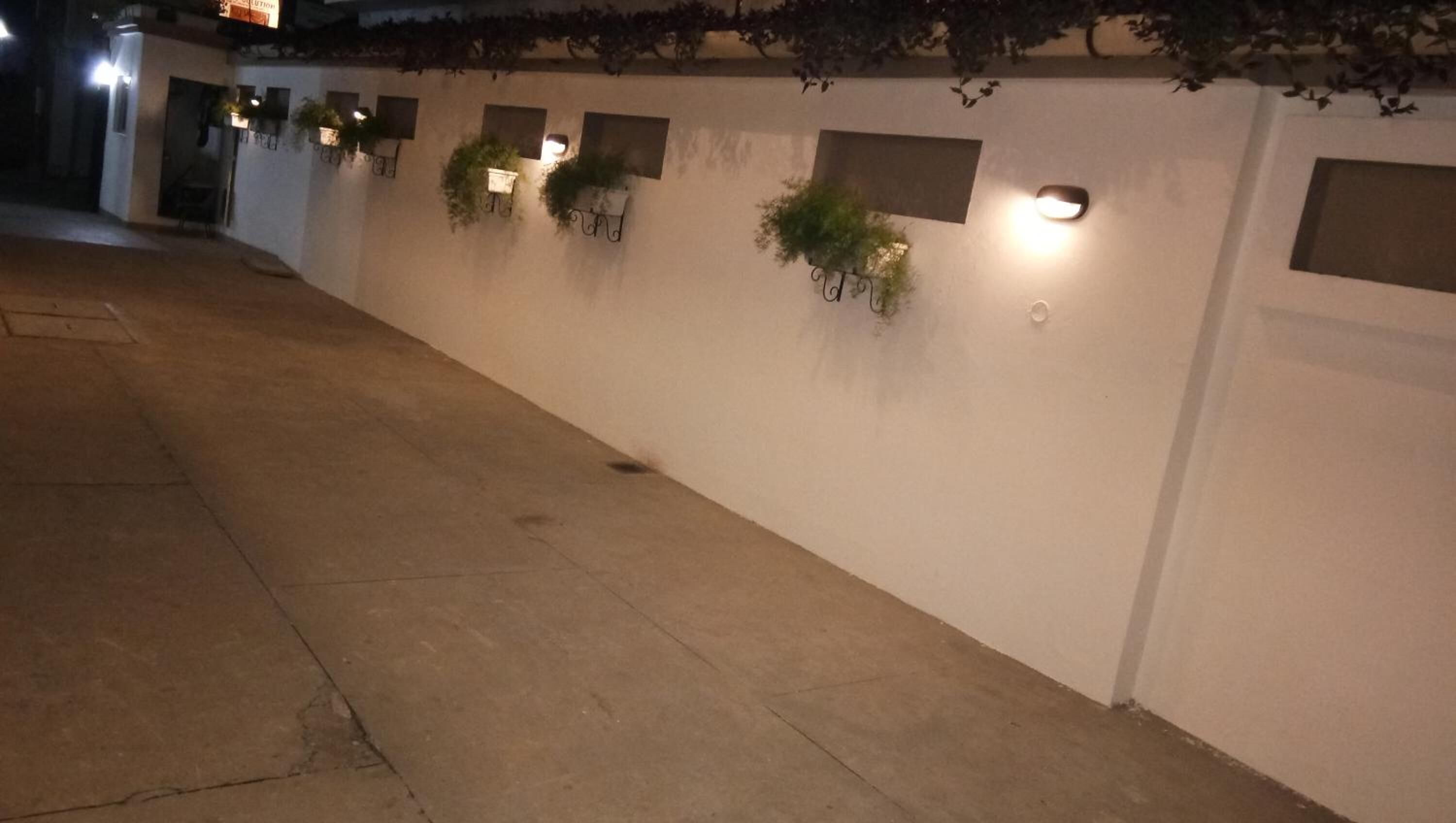 A long, straight corridor with a white wall on one side, featuring several rectangular planters with greenery.