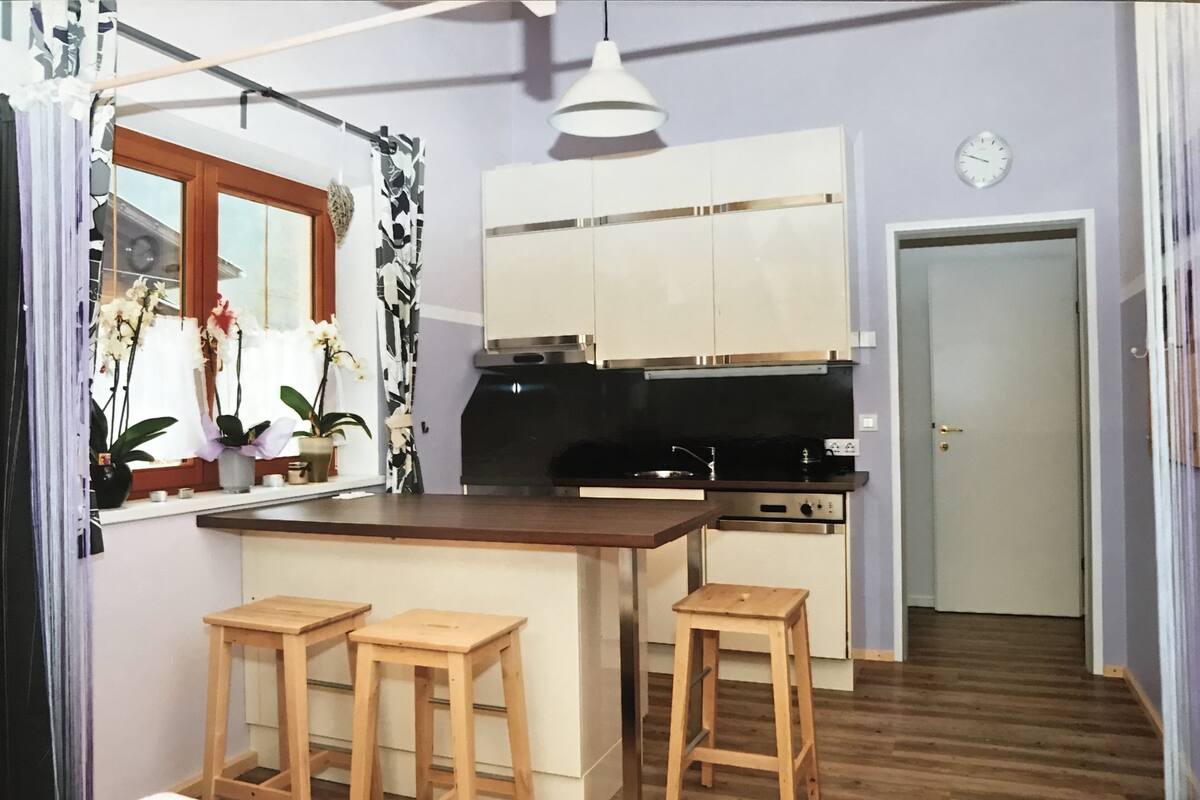 Studio Apartment, Terrace | Private kitchenette