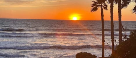Plage à proximité, chaises longues, serviettes de plage