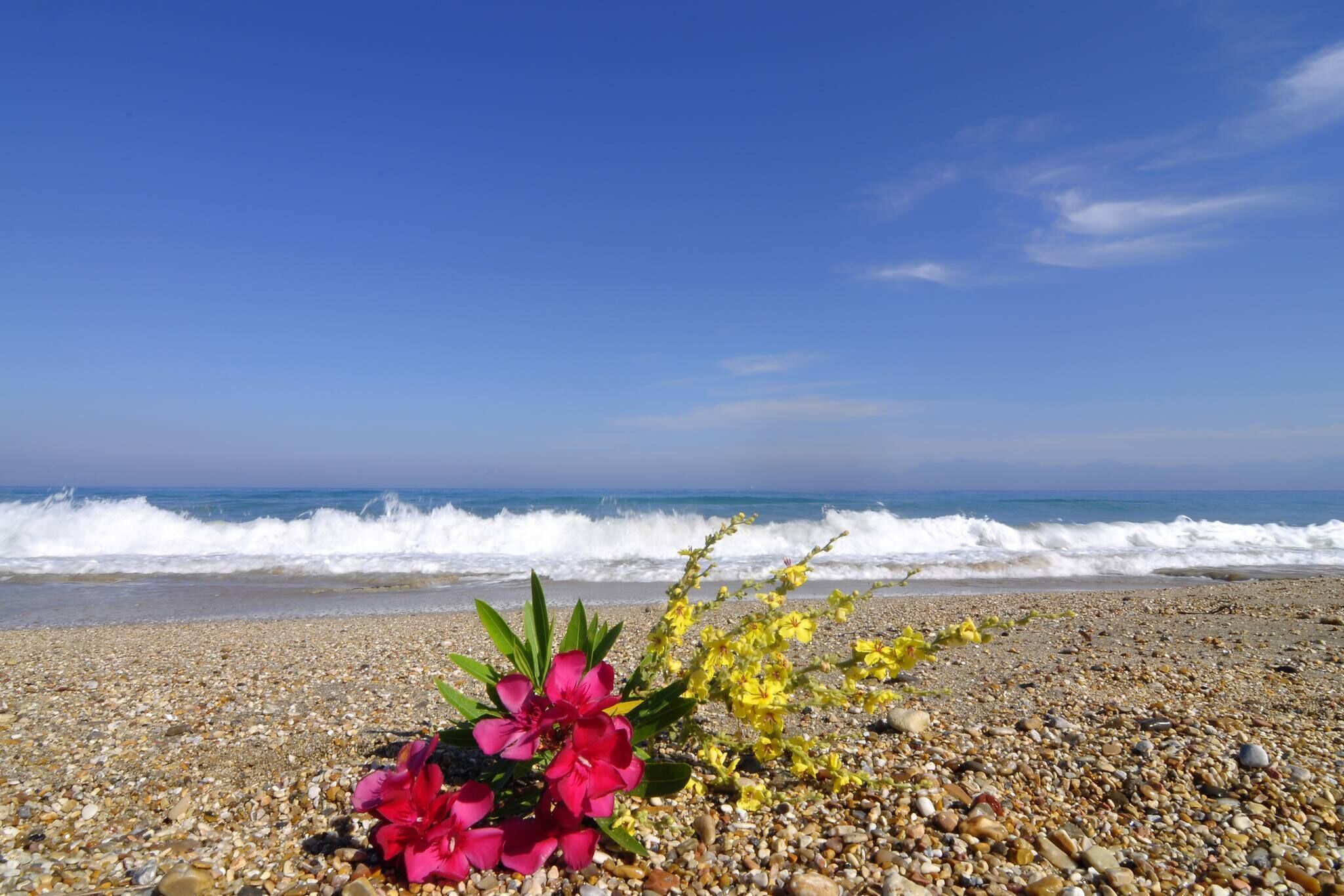 Beach nearby, sun-loungers