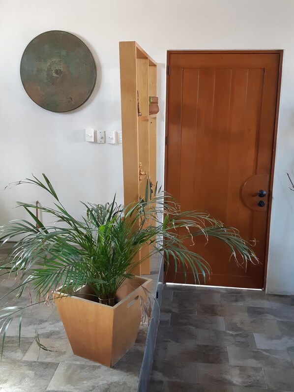 Enter a serene space with a large planter and a simple door.