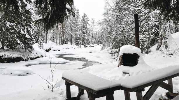 A wooden bench covered in snow, surrounded by a snowy forest with a river in the background.