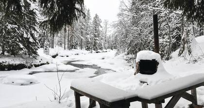 Cozy home in Lima with WiFi