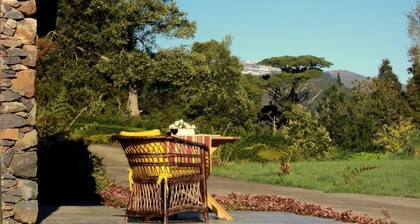 Little country cottage, quiet, peaceful, walk to golf, SLEEPS 3