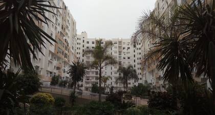 Saldiss sijaitsee Agadirissa, Islanin asuinpaikassa heinellä El Mohammadi