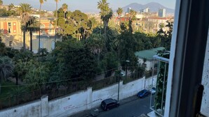 Vista desde una ventana a un paisaje urbano con palmeras, edificios y una montaña al fondo.