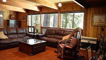 Televisión, chimenea, reproductor de DVD y libros