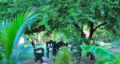 Nature Garden Villa - Hostel