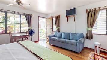 Iron/ironing board, Internet, bed sheets