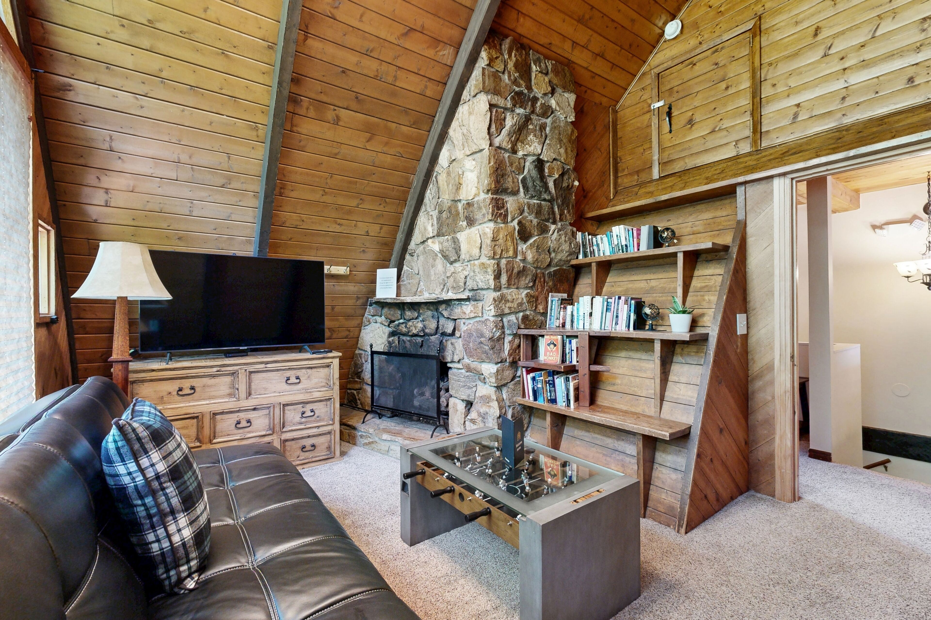 TV, fireplace, books