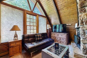 Televisión, chimenea y libros 