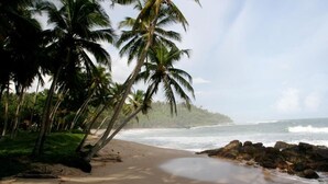 A beach with palm trees, a sandy shore, and a rocky outcrop. - Highland Villa (Weligama)