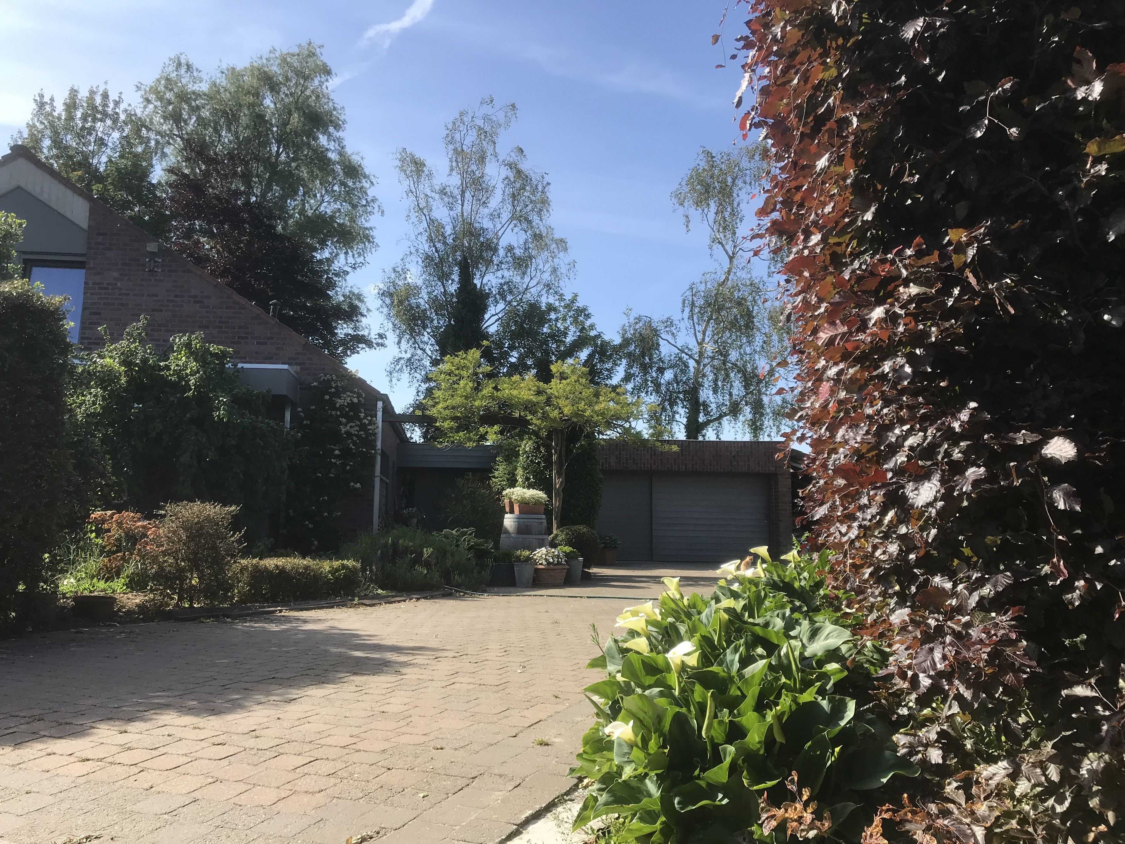 A paved courtyard with a brick building, a garage, and various plants and trees.