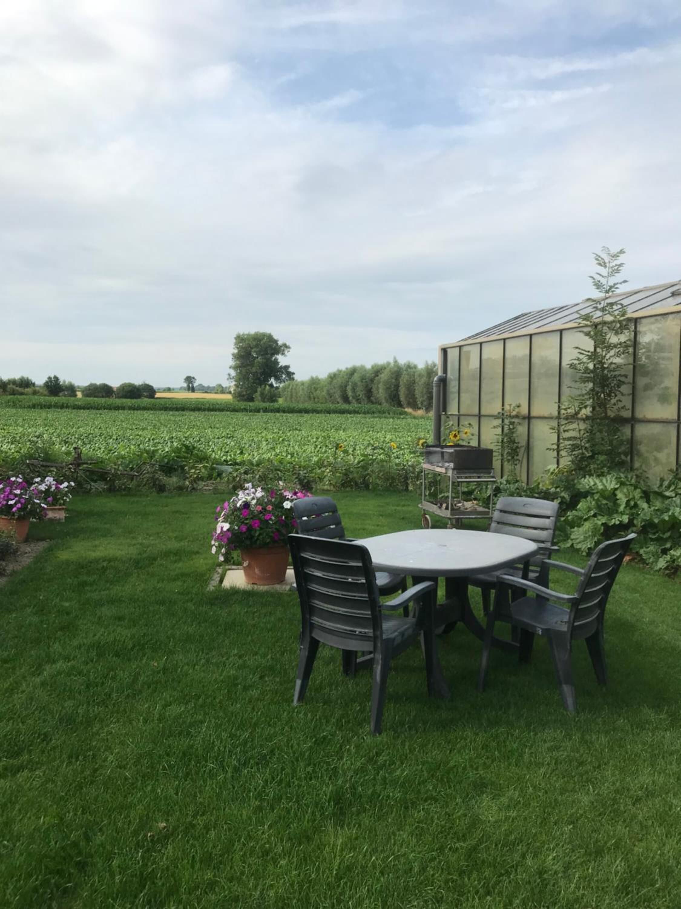 En velplejet have med spisebord og stole, omgivet af frodig vegetation og et drivhus.