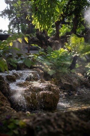 Garden - ANA Park (Chiang Mai)