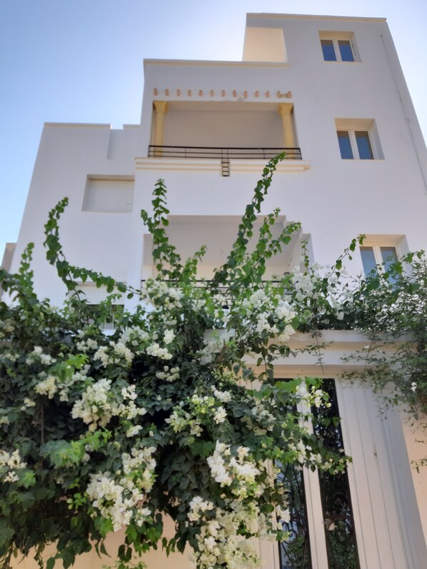 Front of property - La maison des oliviers (Hammamet)
