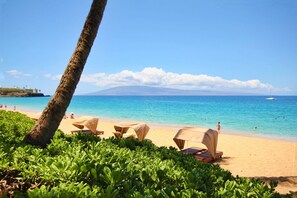 A beach with lounge chairs and a clear view of the ocean.
