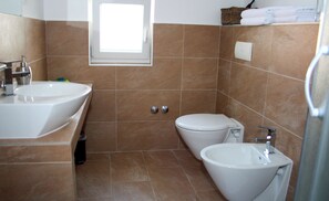 Combined shower/bathtub, hair dryer, bidet, towels