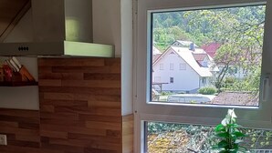 A modern kitchen with a large island, stainless steel sink, and a window overlooking a residential area.