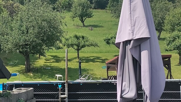A terrace with a table and chairs, overlooking a green landscape with trees and a hill.