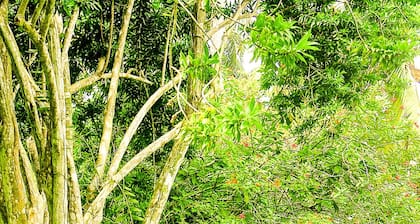 Seilka bungalow-find serenity and relaxation