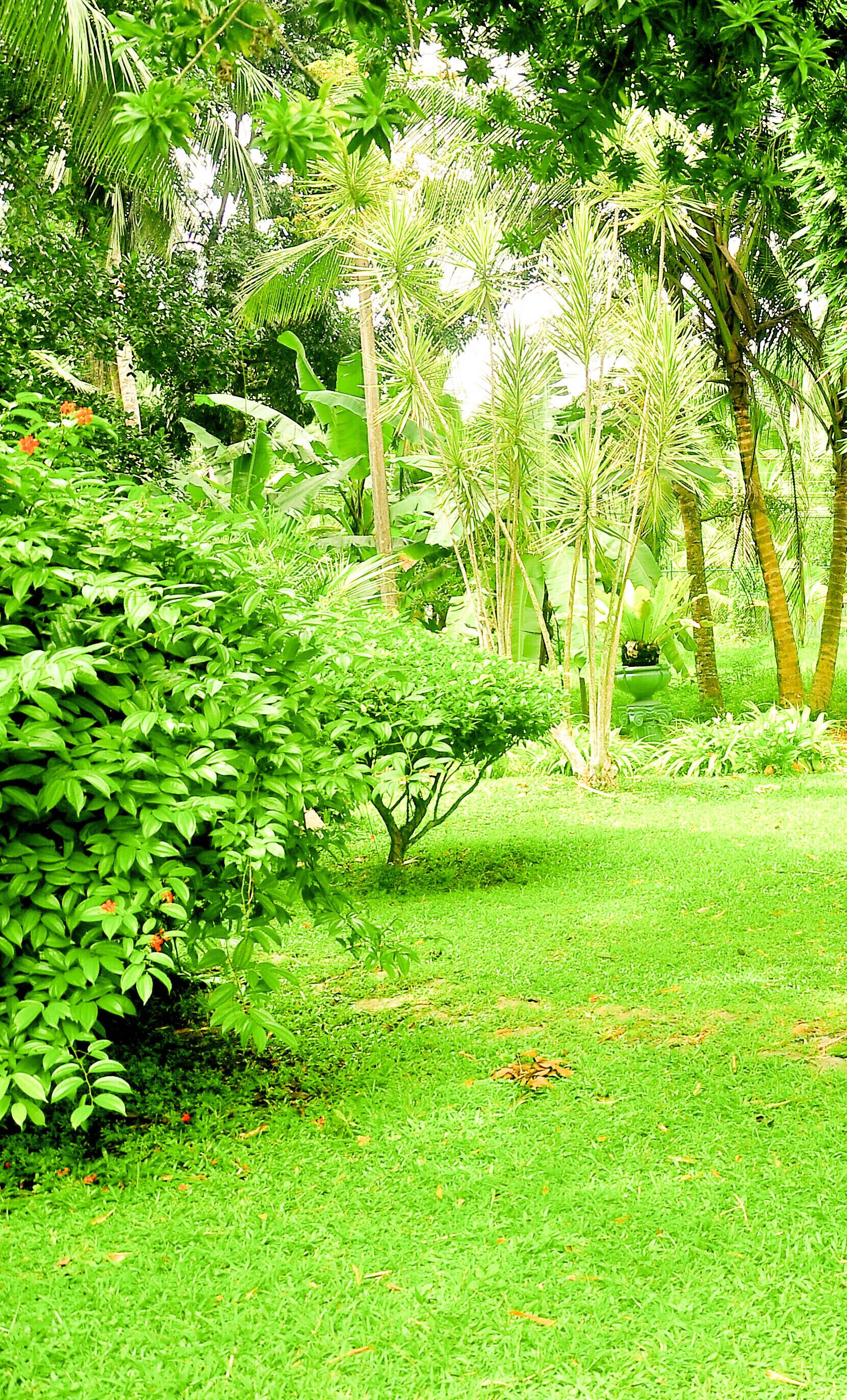 Overnatningsstedets område