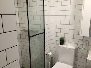 Shower, towels, toilet paper