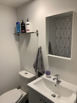 Business Condo | Bathroom - Spaceship Condo (Winnipeg)