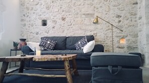 Smart TV, chimenea, reproductor de DVD y libros 