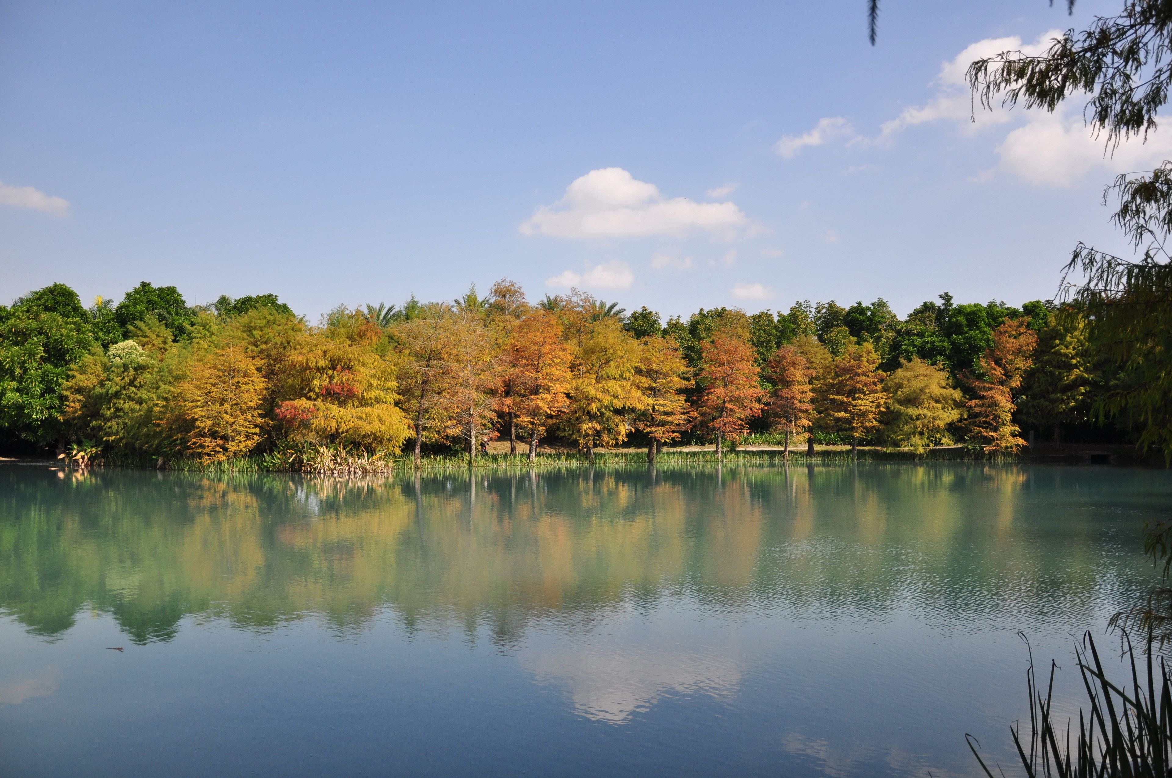 A calm lake reflecting trees with autumn foliage.