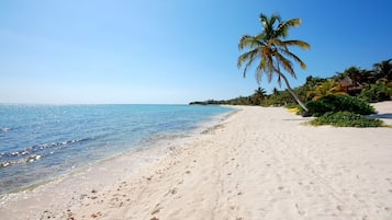 A beach with clear blue water, sandy shore, and palm trees.