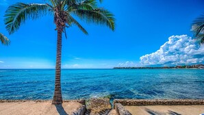 Ein Strand mit einer Palme und klarem, blauem Wasser.