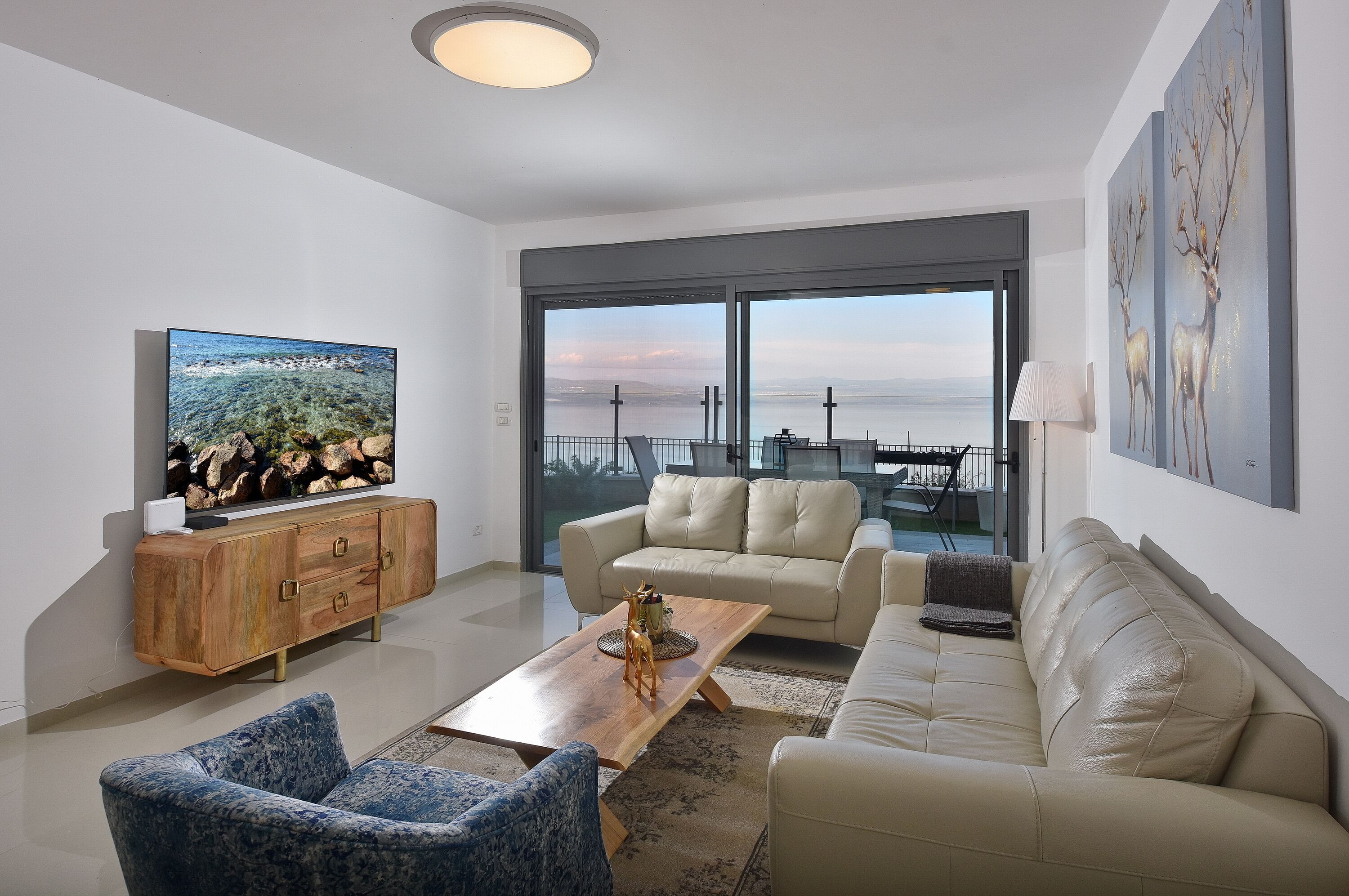 Télévision, médiathèque