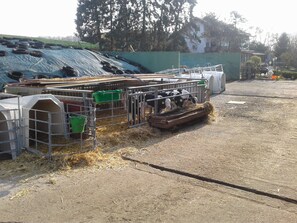 Imagem sem classificação, 5 de 36, botão