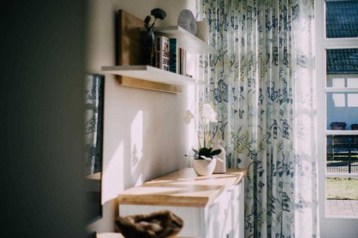 Une pièce avec une fenêtre, une étagère remplie de livres et d’objets décoratifs, et une plante en pot.