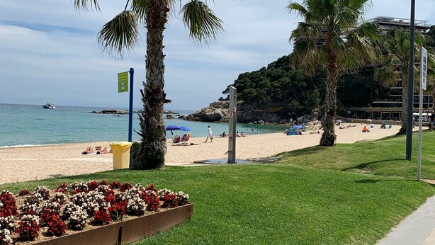 A beach with palm trees, a sandy shore, and a building in the background. - Apartment in Torre Valentina, 2 min from the beach (Calonge)