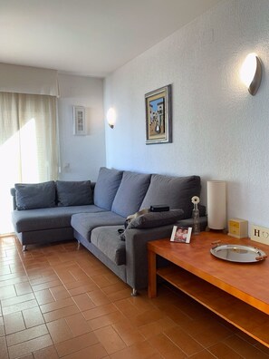 TV, fireplace, books