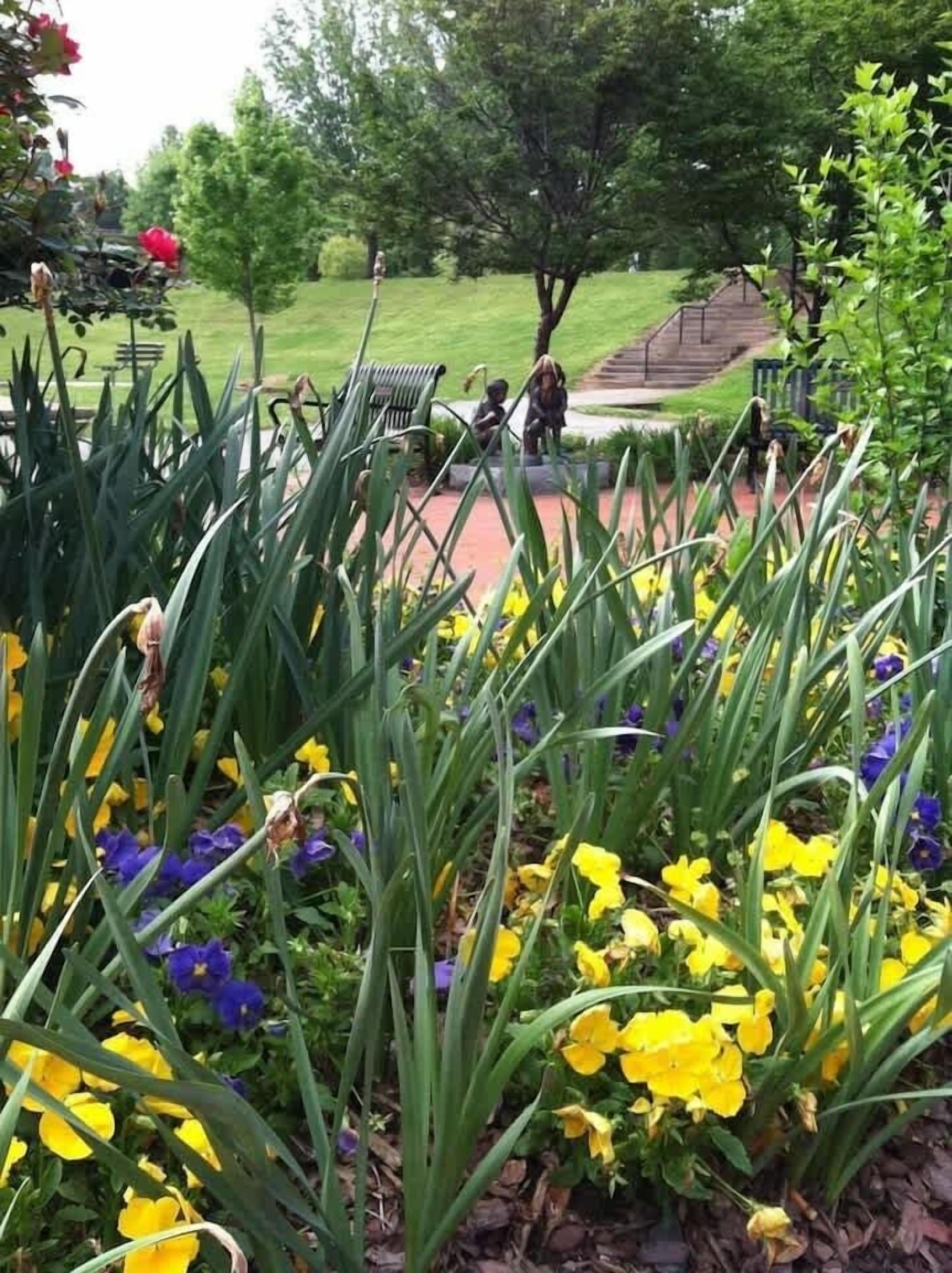 المنطقة المحيطة بالمنشأة