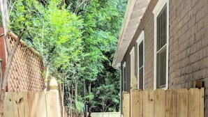 Property grounds - Cool Guest House. Close to Uptown. Walk Everywhere (Charlotte)