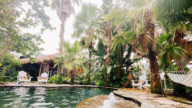 A pool area with white lounge chairs, a hammock, and tropical vegetation.