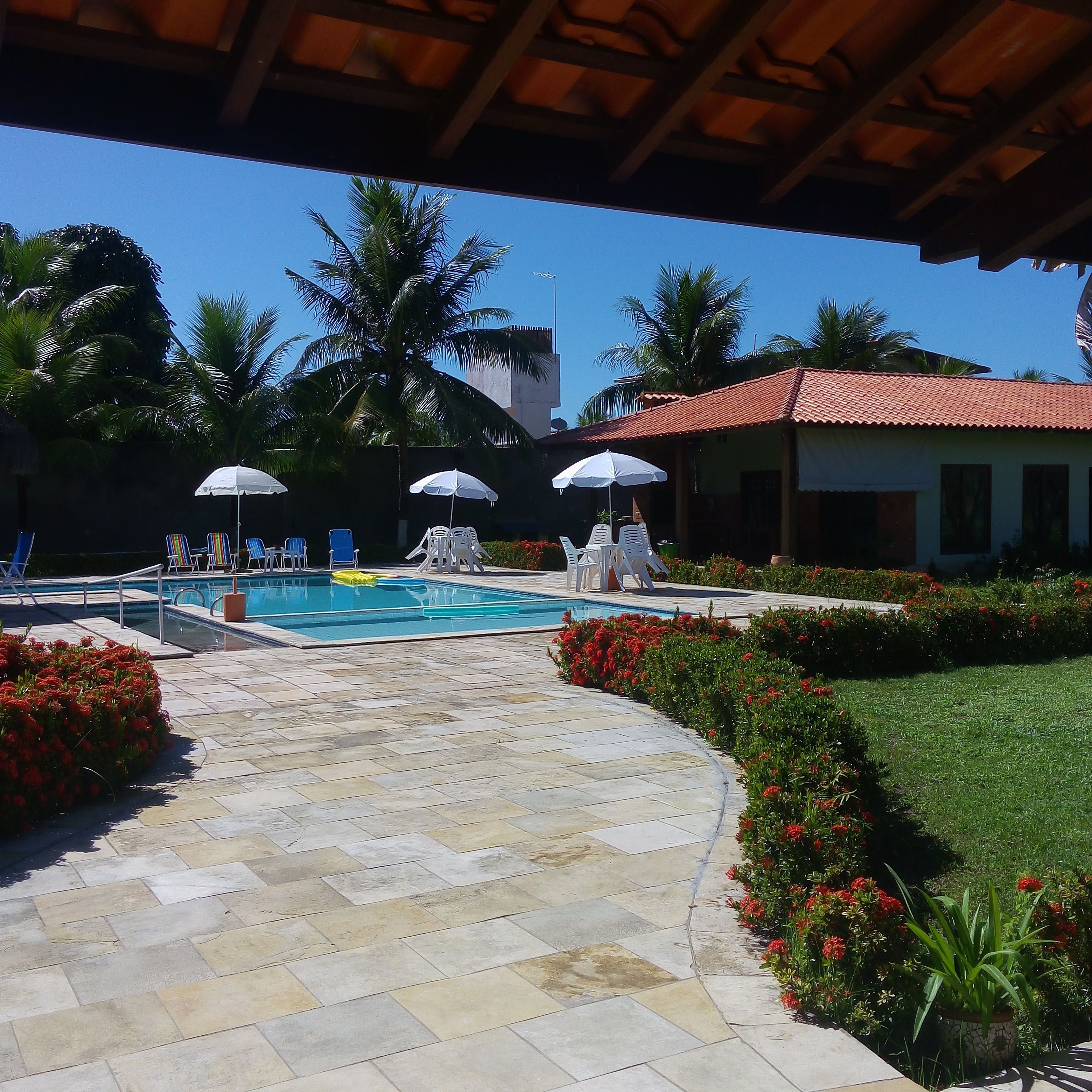 Un área de piscina con sillas de descanso y sombrillas, rodeada de palmeras y un camino empedrado.